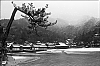 Miyajima1.jpg