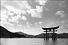 Miyajima12.jpg