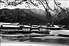 Miyajima14.jpg