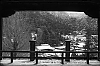 Miyajima15.jpg