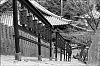 Miyajima23.jpg