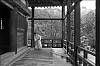 Miyajima3.jpg