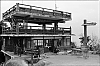 Miyajima33.jpg