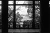 Miyajima5.jpg