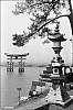 Miyajima8.jpg