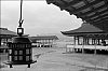 Miyajima9.jpg