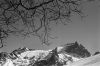 Montagne-mars08-01.jpg