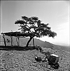Montagne05.jpg