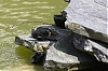 Montsouris-42.jpg