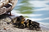 Montsouris-63.jpg