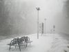NeigeBerlin1.jpg