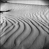 OmanDesert4.jpg