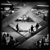 PD12.jpg