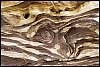 Petra-2011-sable-06.jpg