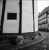 Quedlinburg6x6-02.jpg
