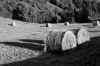 Rouleaux04.jpg