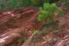 Roussillon02.jpg