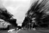 Route02.jpg
