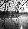 TetedOr-04.jpg
