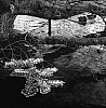 TetedOr-06.jpg