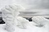 Ventoux-10.jpg