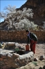VieBedouine05.jpg
