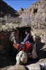 VieBedouine06.jpg