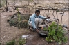VieBedouine08.jpg