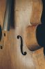 ViolonDuRoi03.JPG
