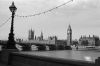 Westminster02.jpg