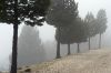 brouillardventoux.jpg