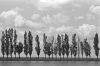 camargue-01.jpg