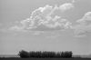 camargue-03.jpg