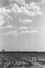 camargue-04.jpg