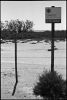 camargue01.jpg