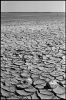 camargue05.jpg