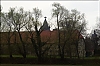 cigogne.jpg