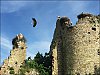 cigognes2.jpg