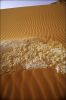 desert-c2-09.jpg