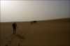 desert-c2-22.jpg