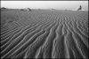 desertblanc-1.jpg