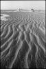 desertblanc-3.jpg