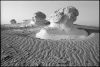 desertblanc-4.jpg