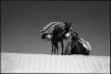 desertblanc-6.jpg