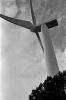 eoliennes03.jpg