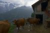 fromagerie03.jpg