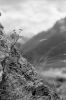 micropaysage02.jpg