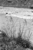 micropaysage03.jpg