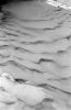 micropaysage04.jpg