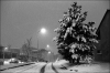neige02~0.jpg